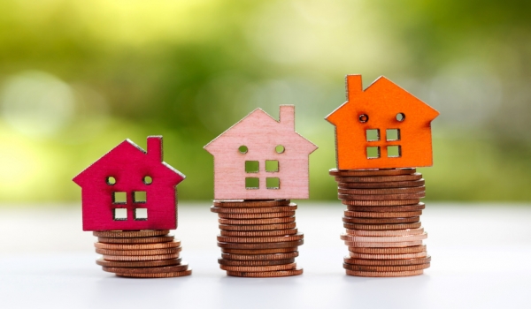 Colored Houses And Coins.jpg
